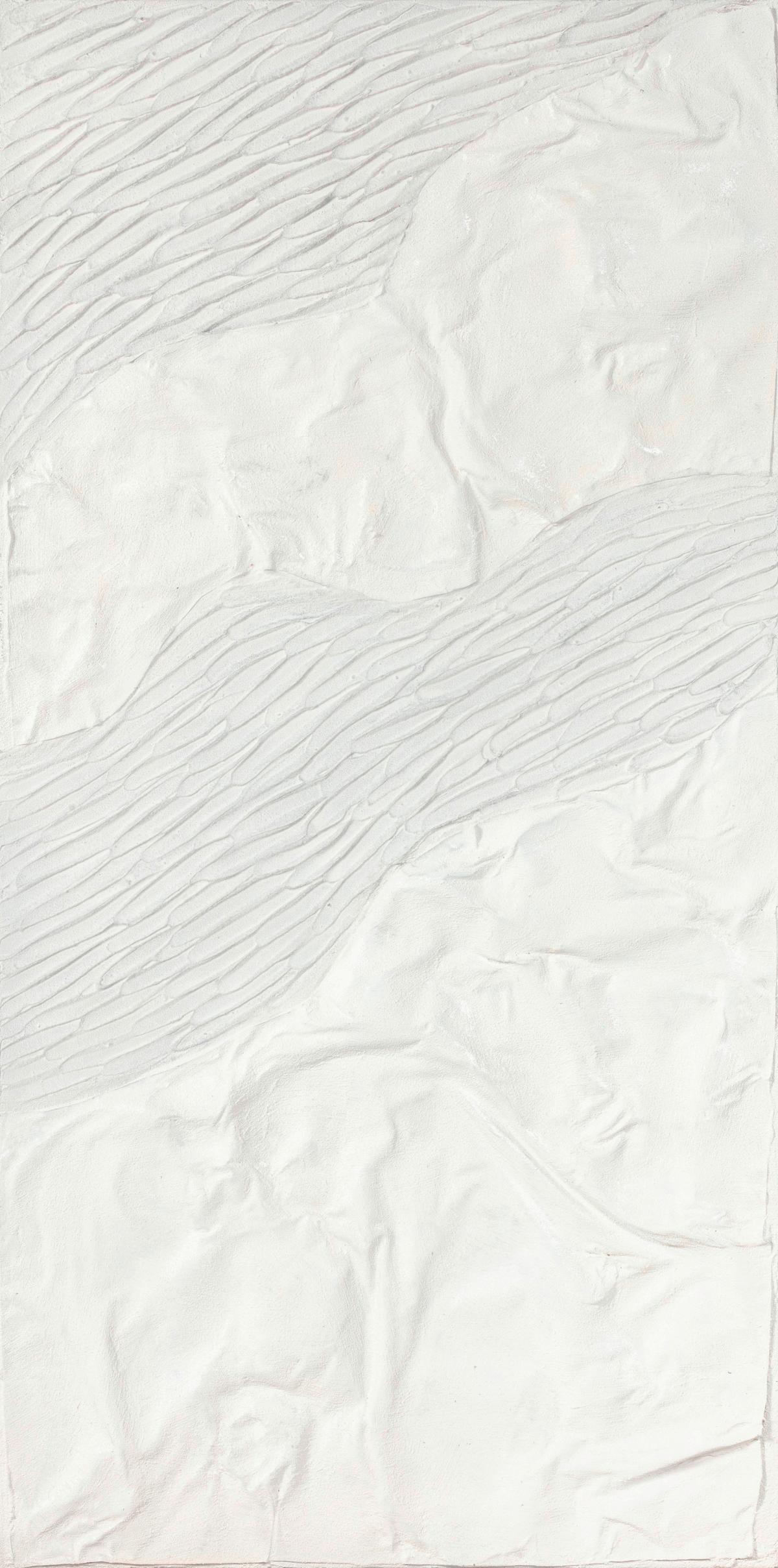 OBRAZ OLEJNY H1HCA211556A - biały/szary, Basics, tworzywo sztuczne/drewno (60/120cm) - Monee