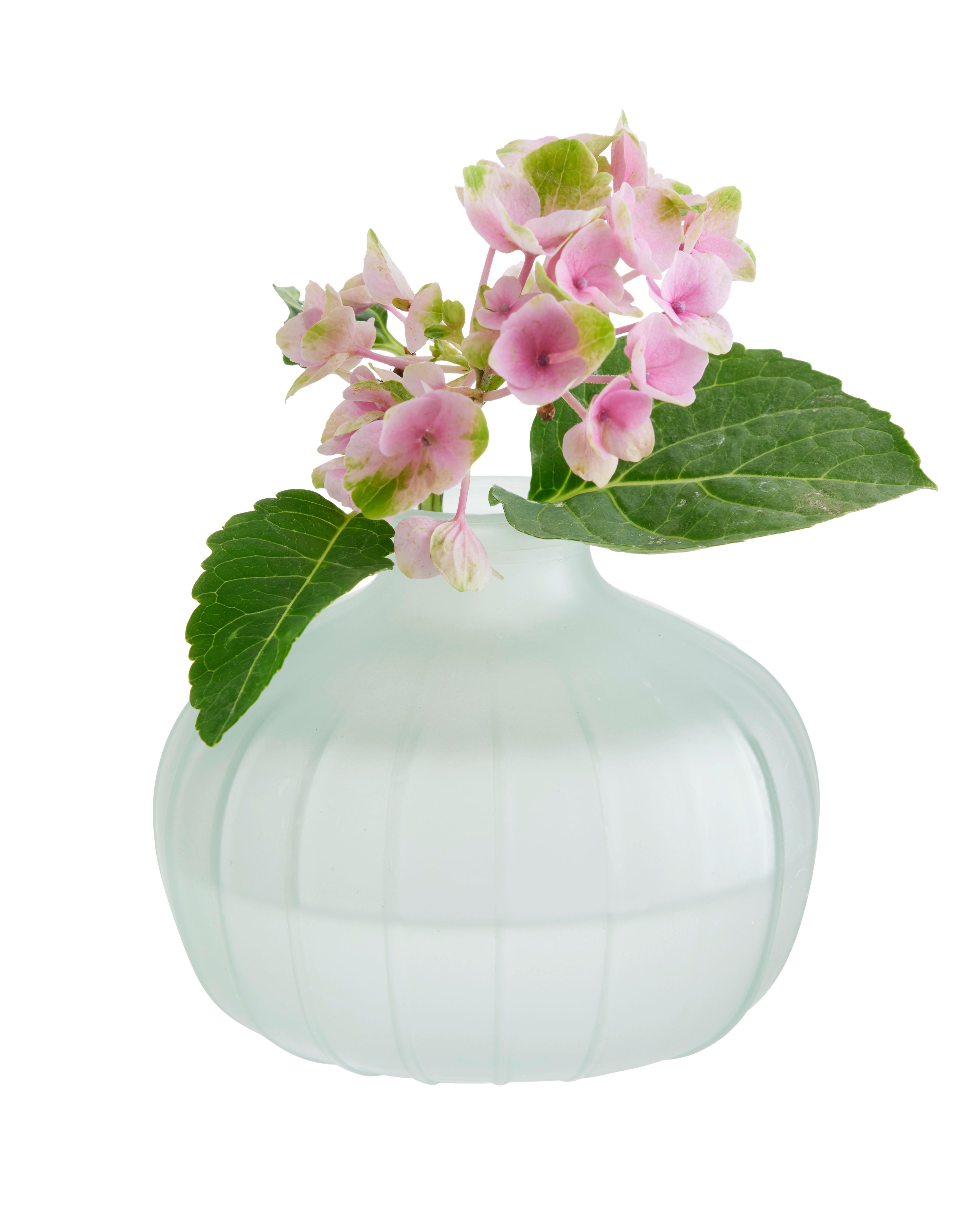Váza Jil - zsályazöld, Konventionell, Üveg (11/9cm) - Modern Living