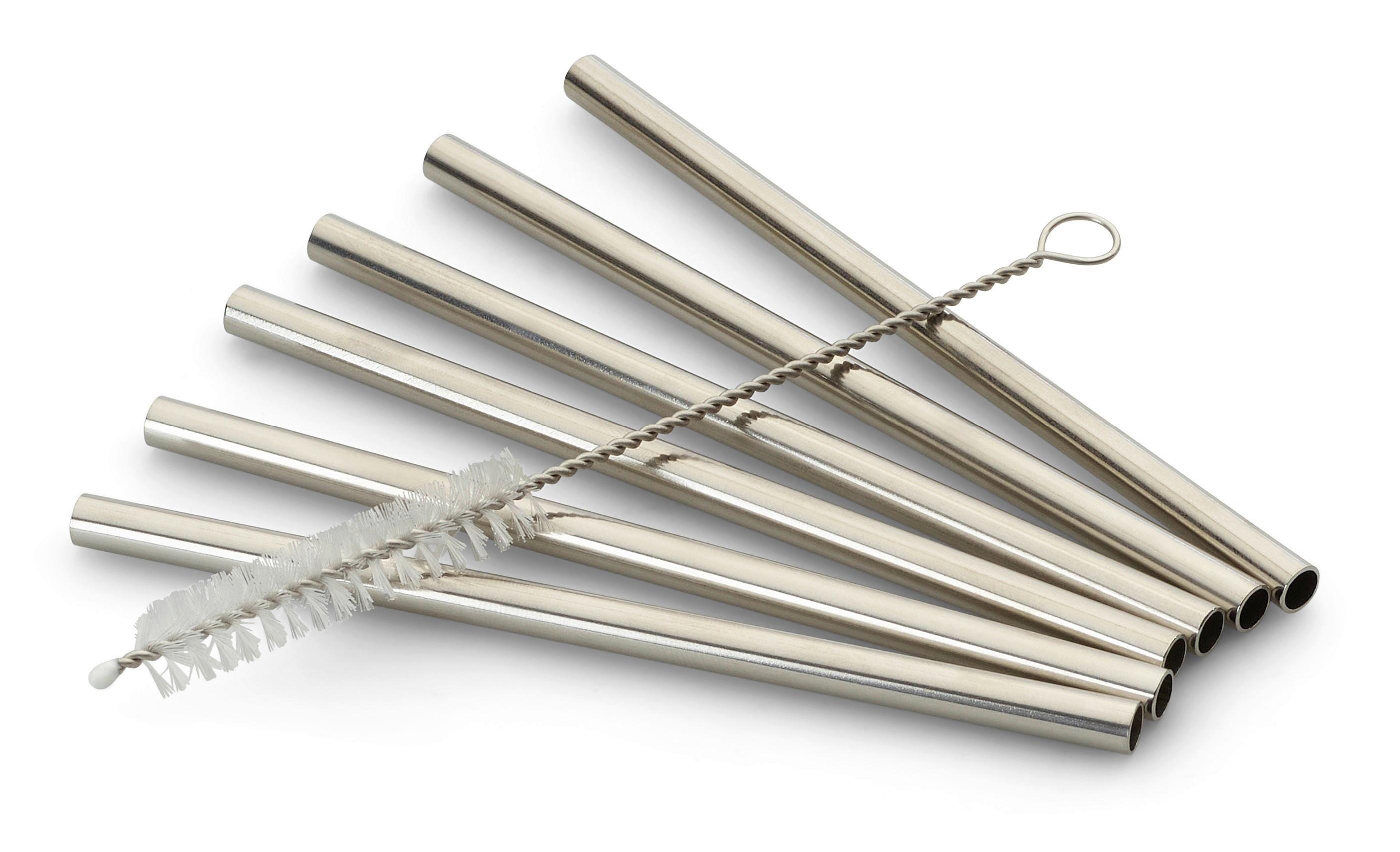 Set Slamic S Krtačko Straw, 6-Delni - barve nerjavečega jekla, Basics, kovina (12cm) - Echtwerk