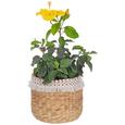 Cvetlični Lonček Jimmy - naravna/bela, les (22/20cm) - Mömax modern living Cvetlični Lonček Jimmy - naravna/bela, les (22/20cm) - Mömax modern living