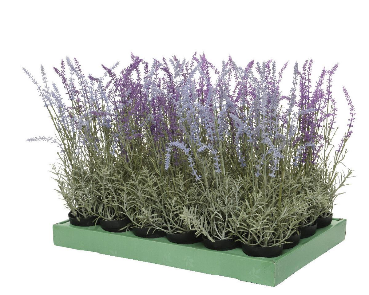 Plantă artificială Lava - multicolor, Basics, plastic (14,00/14,00/46,00cm)