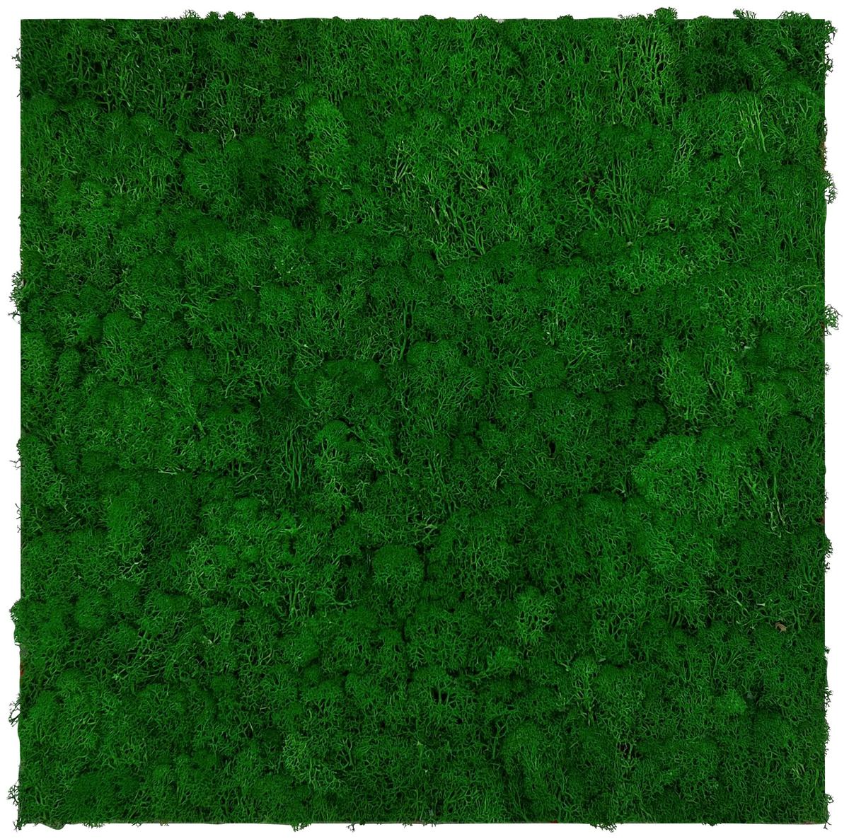 PANEL AKUSTYCZNY 11100 NATURE GREEN - zielony, Konventionell, materiały naturalne (52/52/4cm)
