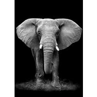 Tablou Dark Elephant cca. 60x90 cm - negru/gri, Modern, textil/material pe bază de lemn (60/90/2,8cm) - Mömax