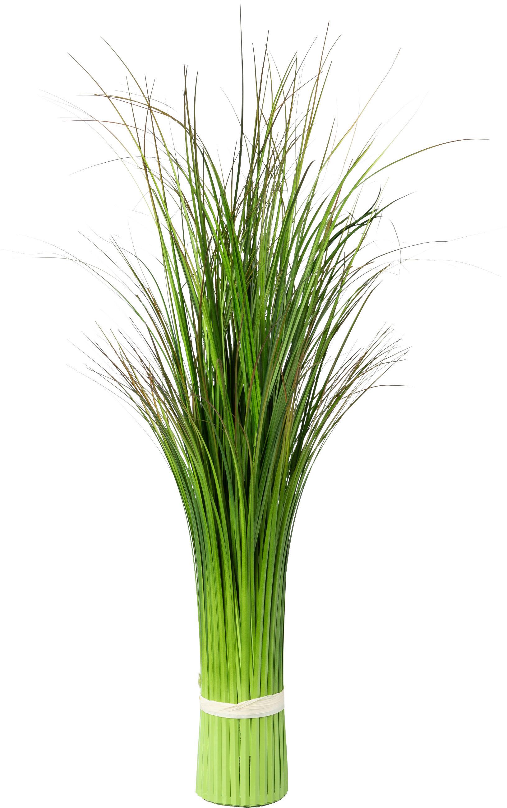 Grasbündl Markus in Grün - Grün, Basics (80cm) - Modern Living