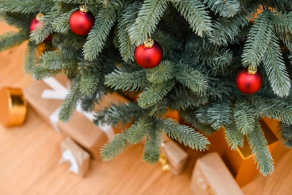 Weihnachtsbaum Evergreen Vermont Waldgrün H: ca. 240cm - Waldgrün, Basics, Kunststoff/Metall (160/240cm)