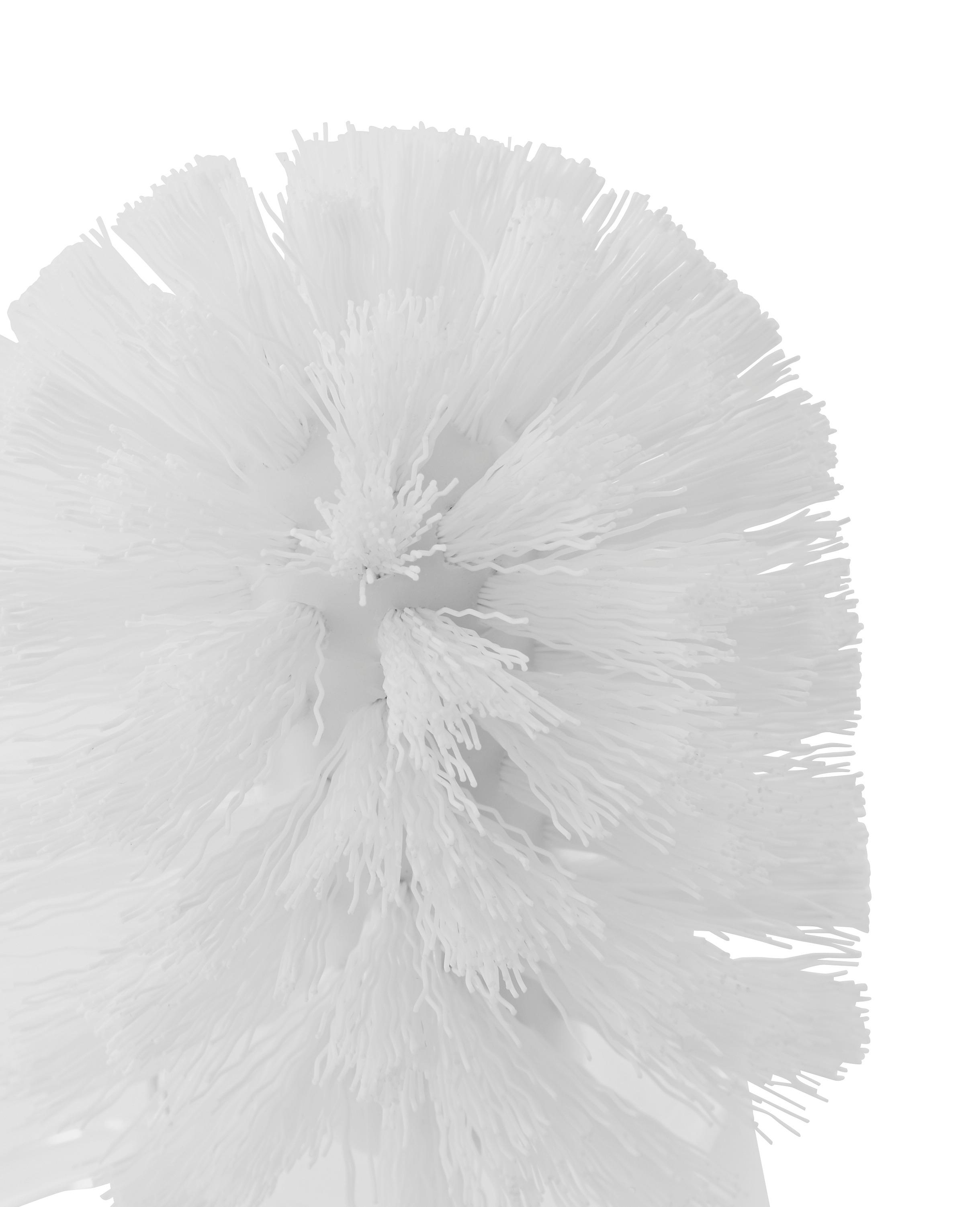 WC-BORSTEL ERSATZBÜRSTE BRUSH -SB- - Kunststof (8,5cm) - Mömax
