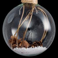 Glob de Crăciun din sticlă cca. 6 cm Pine - transparent, Modern, sticlă (6cm)