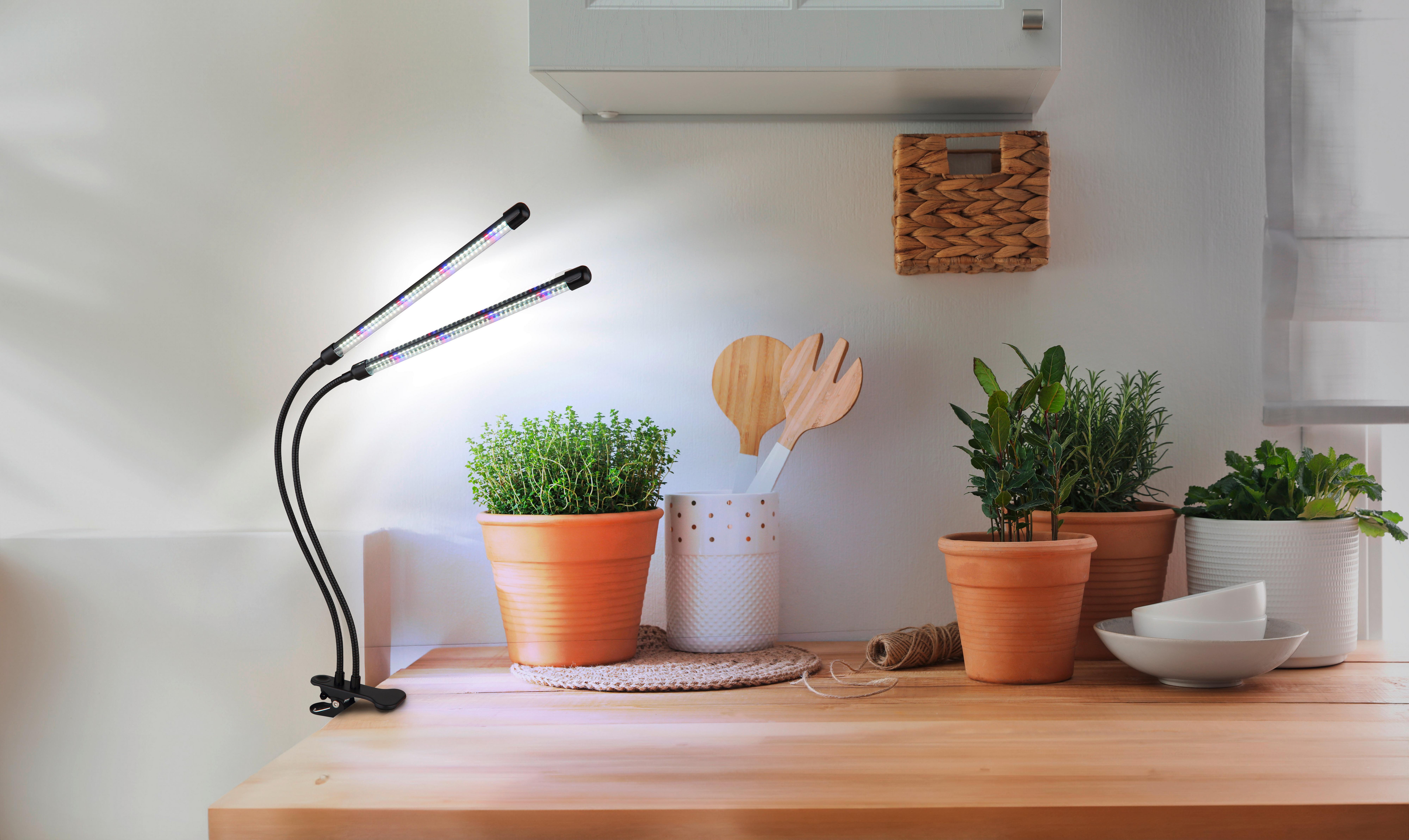 Led-svetilka S Sponko Treena - črna/prosojno, Konvencionalno, kovina/umetna masa (45/41/47cm) - Globo