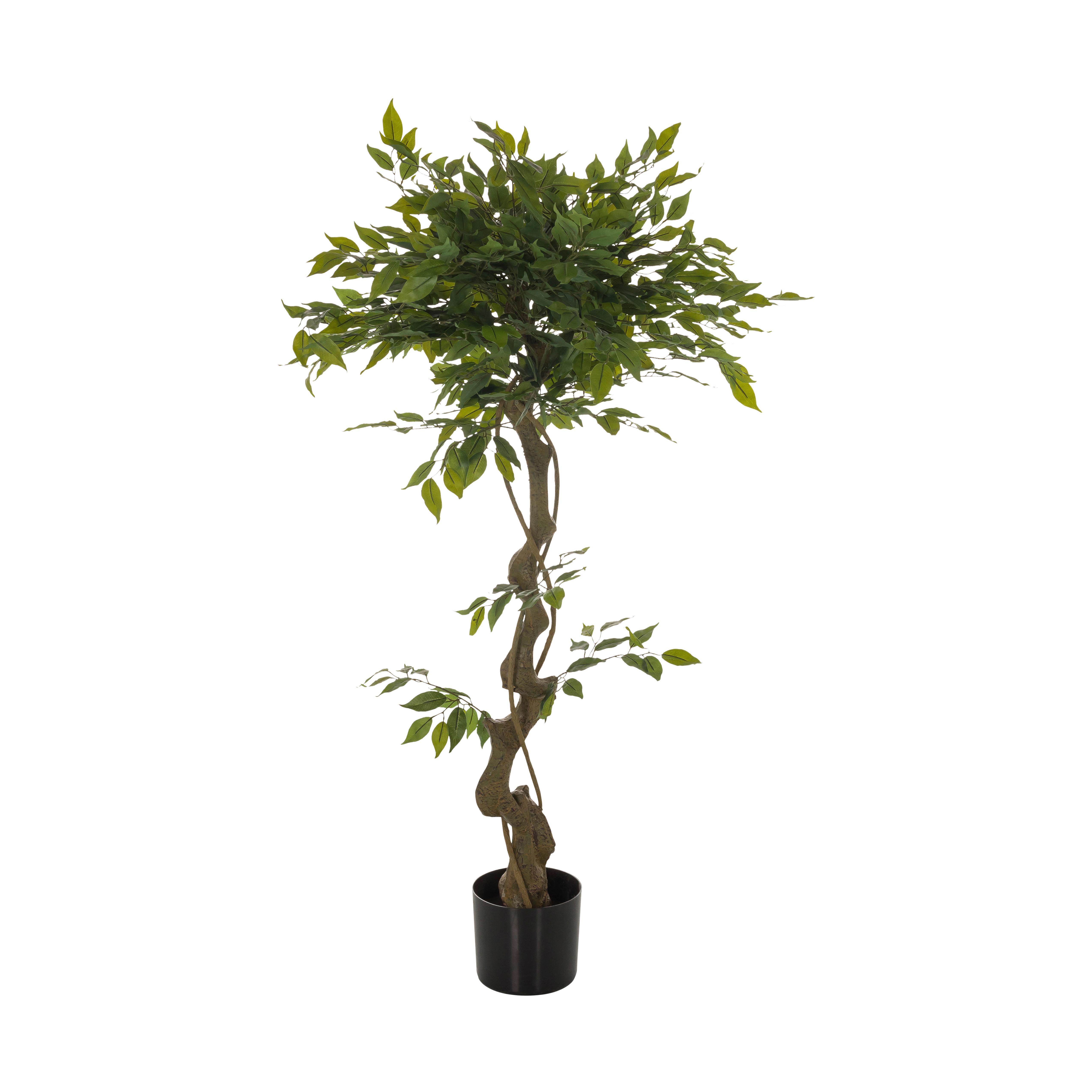 Umetna Rastlina Ficus I - črna/zelena, Basics, umetna masa (70/120/70cm) - MID.YOU