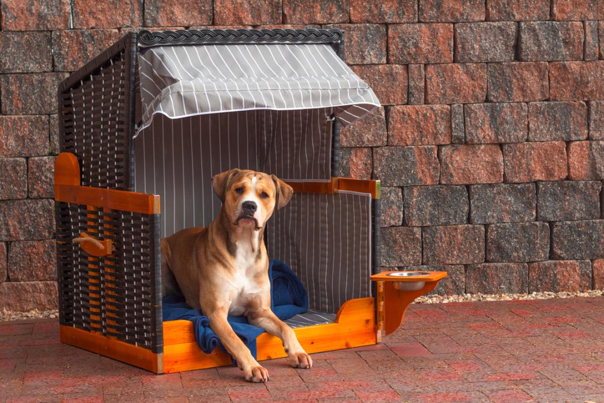 Hundestrandkorb ca. 75x95 cm Grau/Schwarz - Schwarz/Grau, Basics, Holz/Kunststoff (75/95/6cm) - Gardenson