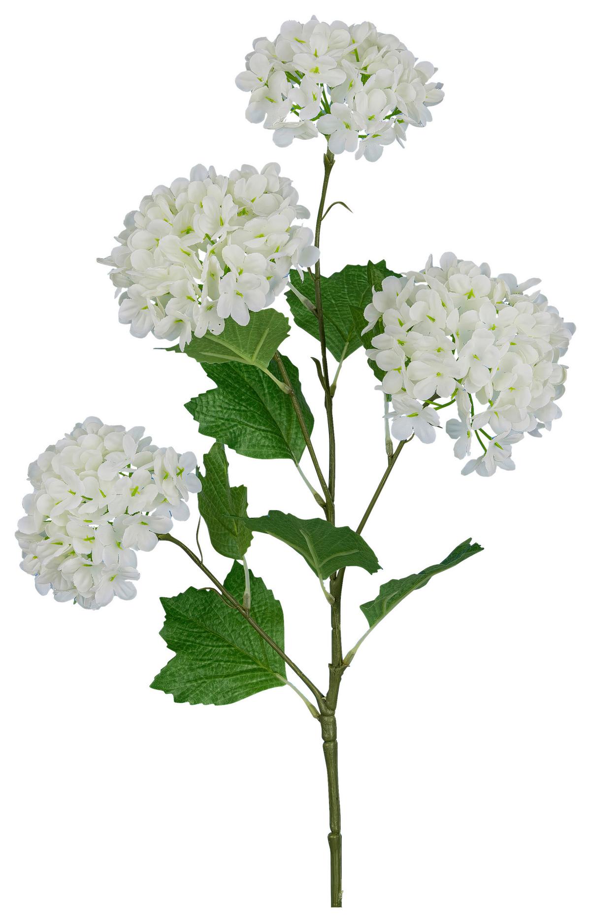 Kunstpflanze Schneeballzweig Weiß - Weiß/Grün, Basics, Kunststoff/Textil (68cm)
