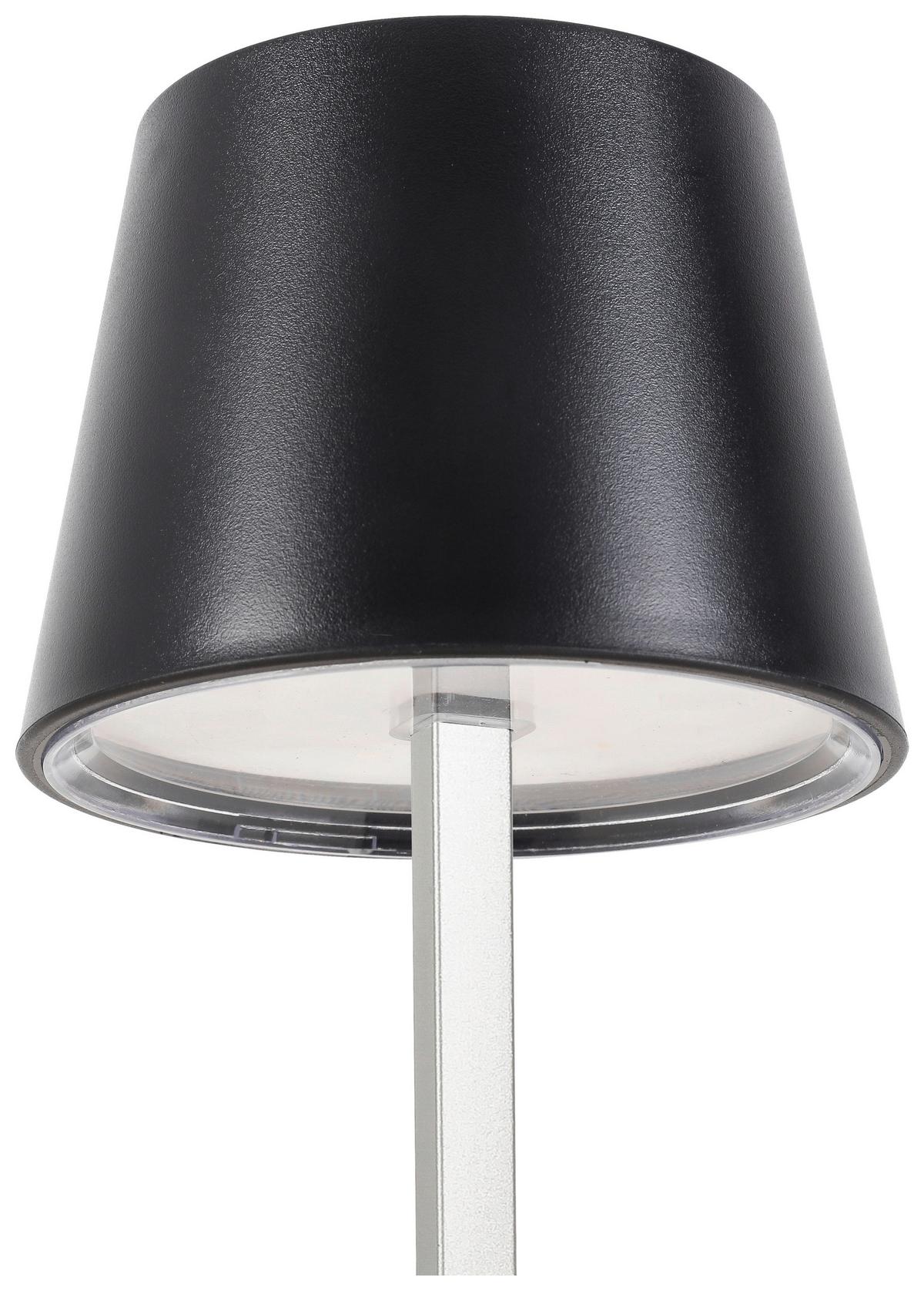 LED-Dekoleuchte Gopi Schwarz max. 1,5 Watt - Silberfarben/Schwarz, Romantik / Landhaus, Kunststoff/Metall (10,5/26cm) - Modern Living