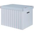 Cutie Cu Capac Jimmy - albastru/alb, carton (44,3/33,5/32,5cm) - Modern Living Cutie Cu Capac Jimmy - albastru/alb, carton (44,3/33,5/32,5cm) - Modern Living