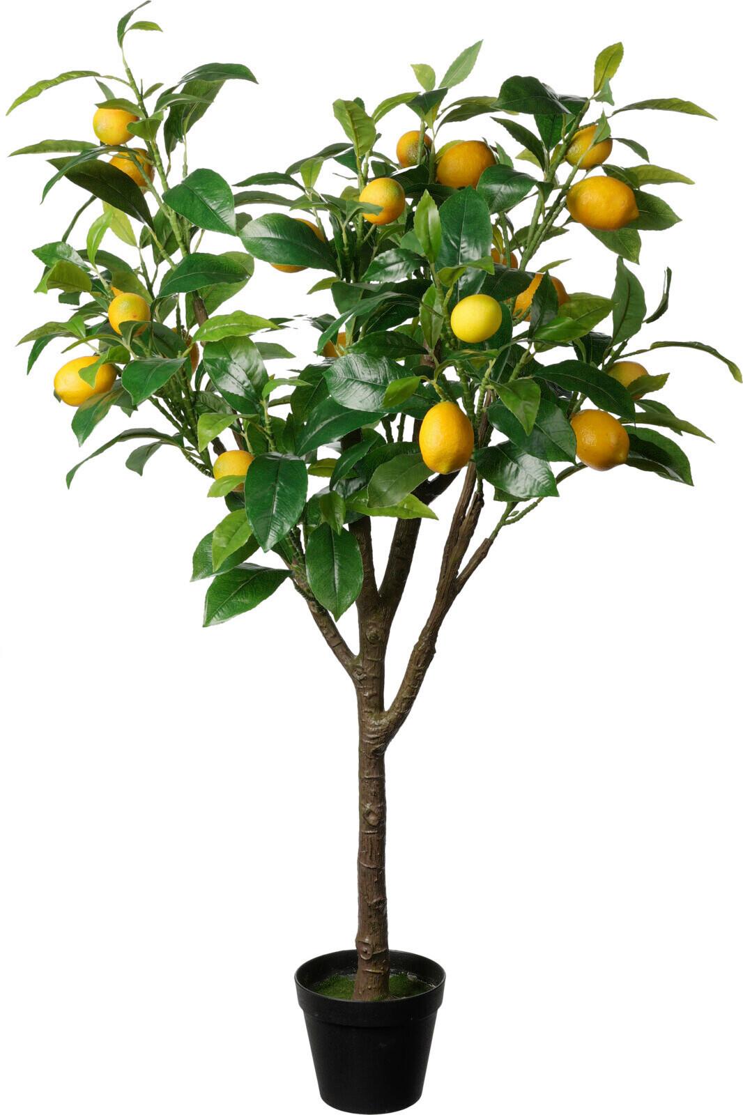 Citromfa Lemon Tree - műanyag (10/10/115cm)