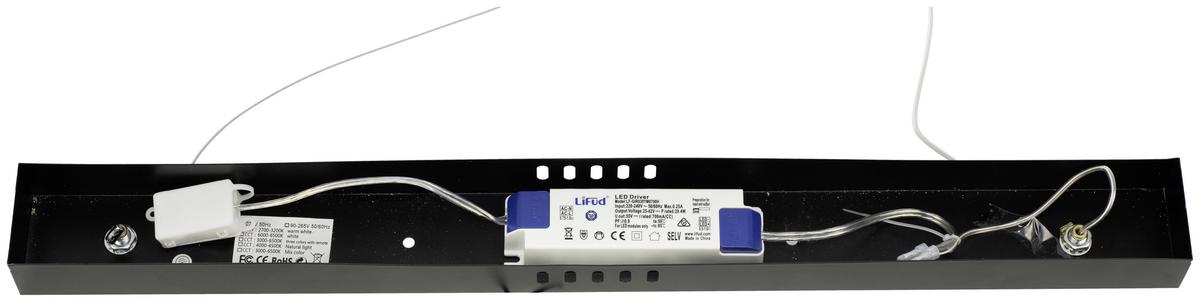 Viseča Led-svetilka Fabius - črna, Moderno, kovina/umetna masa (100/120/1,5cm) - Premium Living