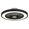 Stropni Ventilator 03653 Bizzak - črna/prosojno, Konvencionalno, kovina/umetna masa (54/15,9cm) - Globo