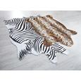 Szőnyeg Animal Zebra - fekete/fehér, Lifestyle, textil (120/180cm) - MÖMAX modern living