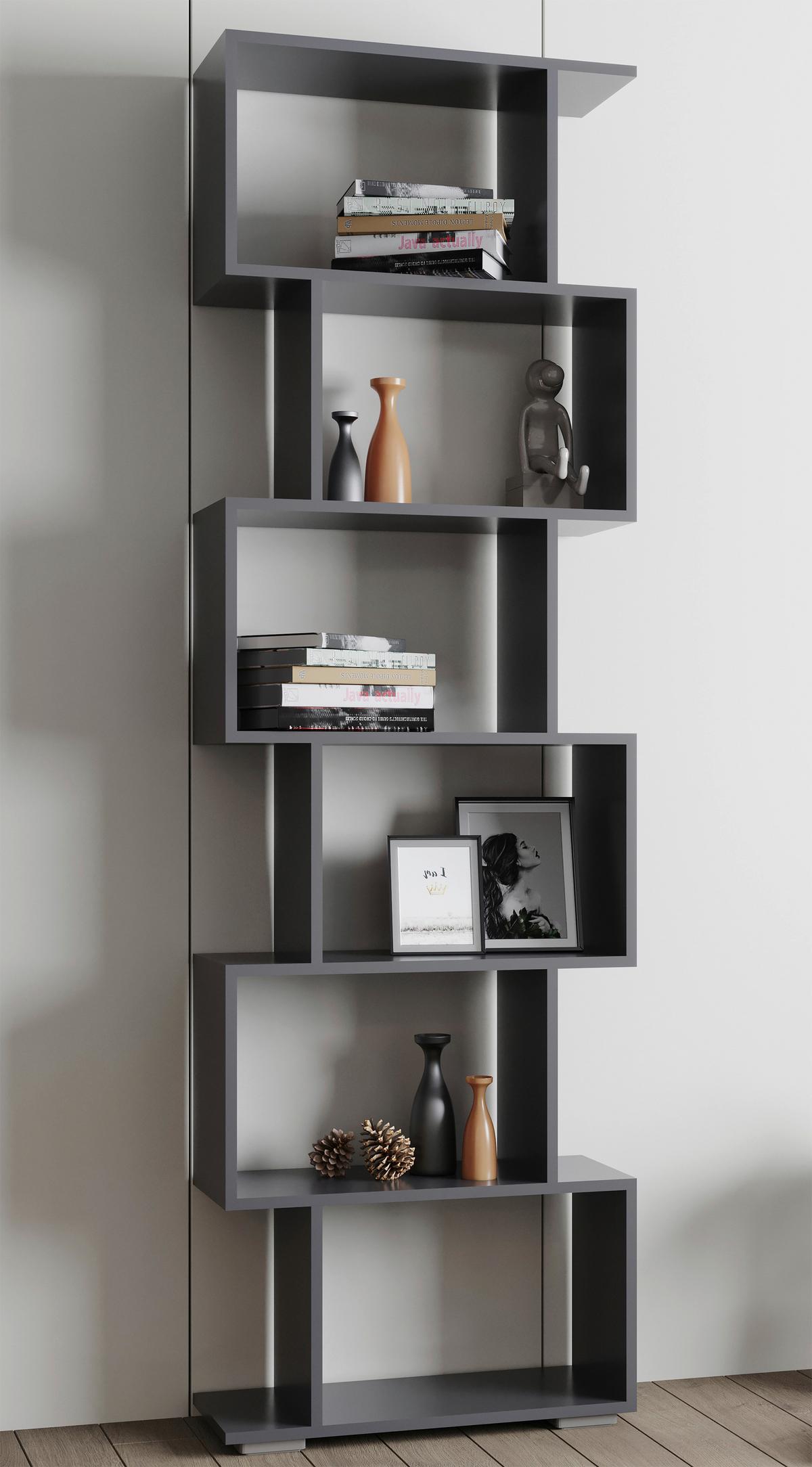 REGAL PALUSA L - Anthrazit/Silberfarben, Design, Holzwerkstoff/Kunststoff (60/196/24cm) - MID.YOU