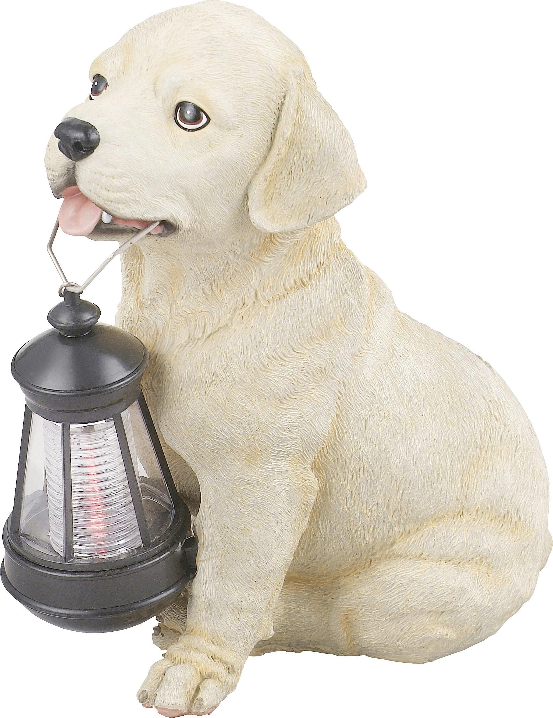 Solarna Svetilka Hund, S Sijalko - bež, Basics, umetna masa (15,5/23,5/25cm) - Globo