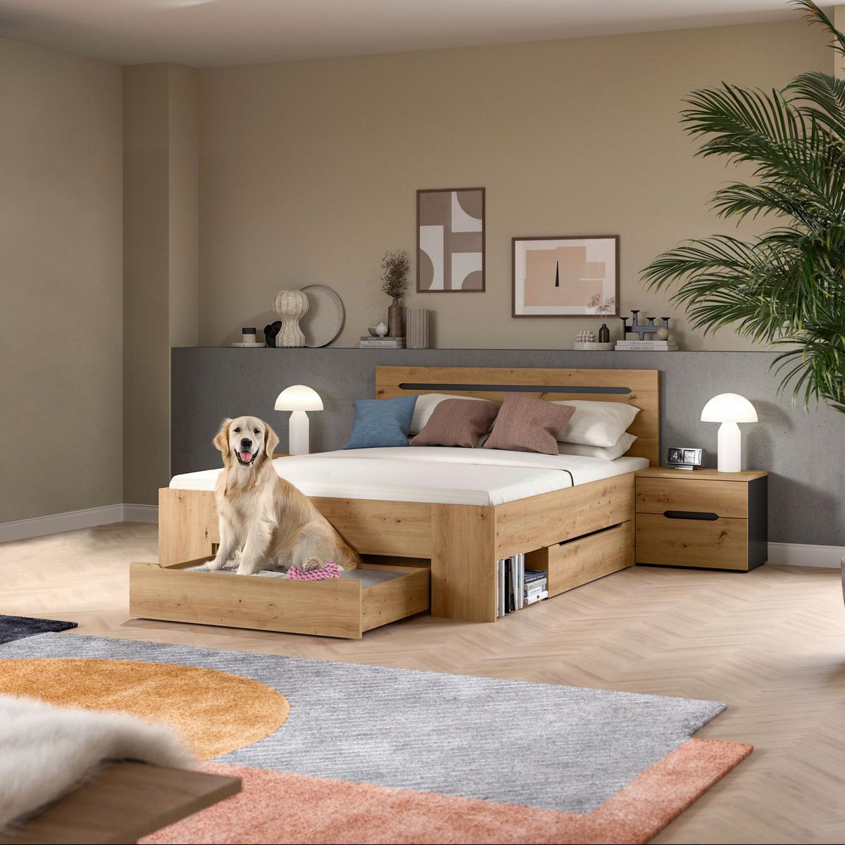 Schlafzimmer CANU 3-teilig Eiche Artisan, Grau - Eiche Artisan/Grau, MODERN, Holzwerkstoff (244/87/205cm) - MID.YOU