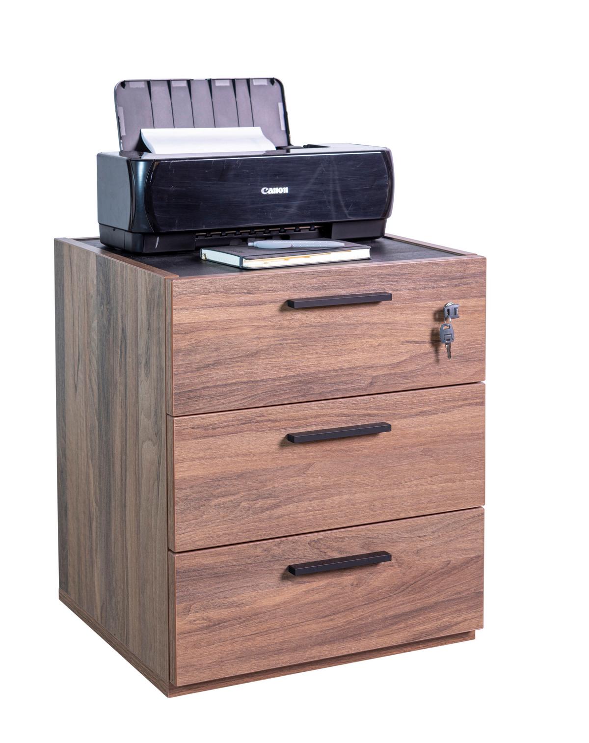 Fiokar Sa Točkićima Rilega - boja oraha/antracit, Moderno, pločasti materijal/plastika (50/61,2/47,2cm) - Modern Living
