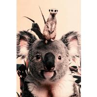 BILD posterjunkie-21-98x148-dbw-mko - Multicolor, Basics, Kunststoff/Metall (98/148/10cm)