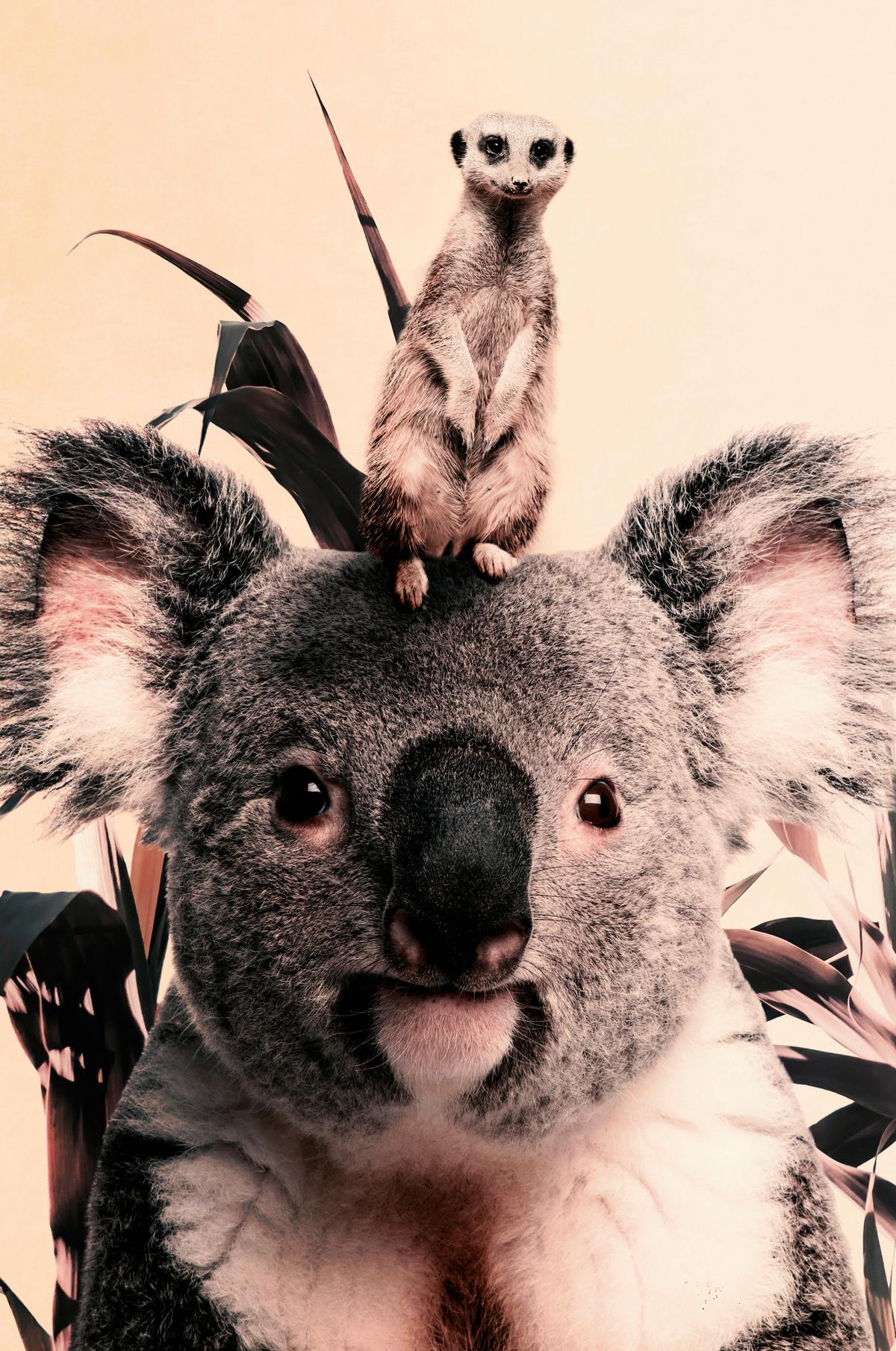 BILD posterjunkie-21-98x148-dbw-mko - Multicolor, Basics, Kunststoff/Metall (98/148/10cm)