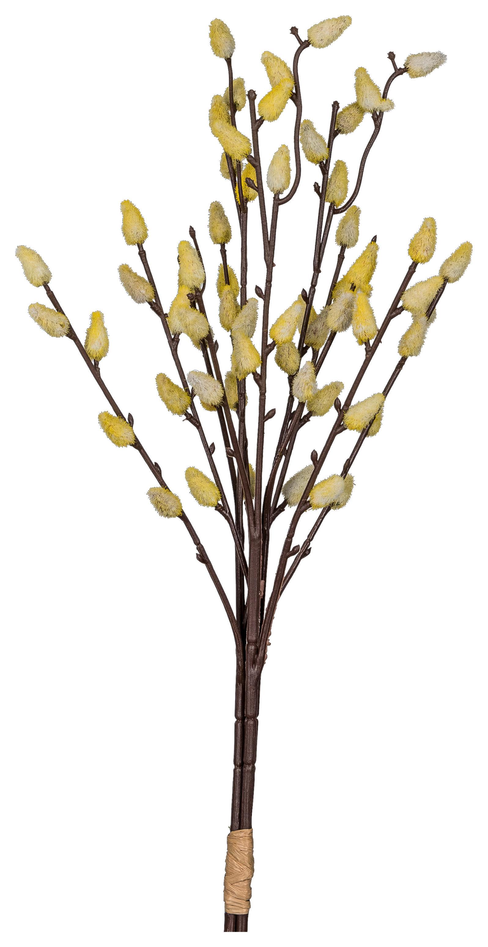 Dekoast Weidekätzchenbund Braun ca. 53cm - Gelb/Braun, Basics, Kunststoff/Metall (53cm) - Mömax