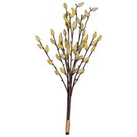 Dekoast Weidekätzchenbund Braun ca. 53cm - Gelb/Braun, Basics, Kunststoff/Metall (53cm) - Mömax