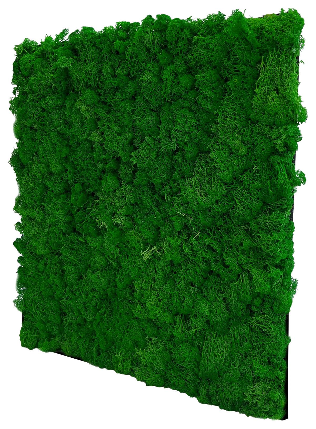 PANEL AKUSTYCZNY 11100 NATURE GREEN - zielony, Konventionell, materiały naturalne (52/52/4cm)