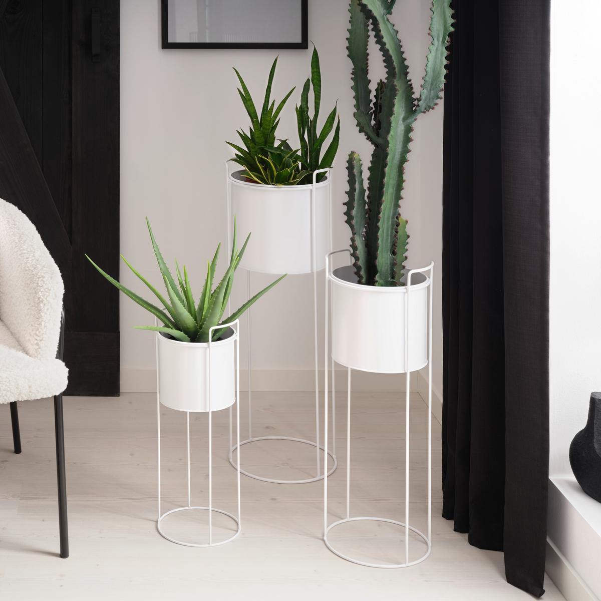 Virágállvány Trelleborg - fehér, Basics, fém (28/80cm) - Modern Living