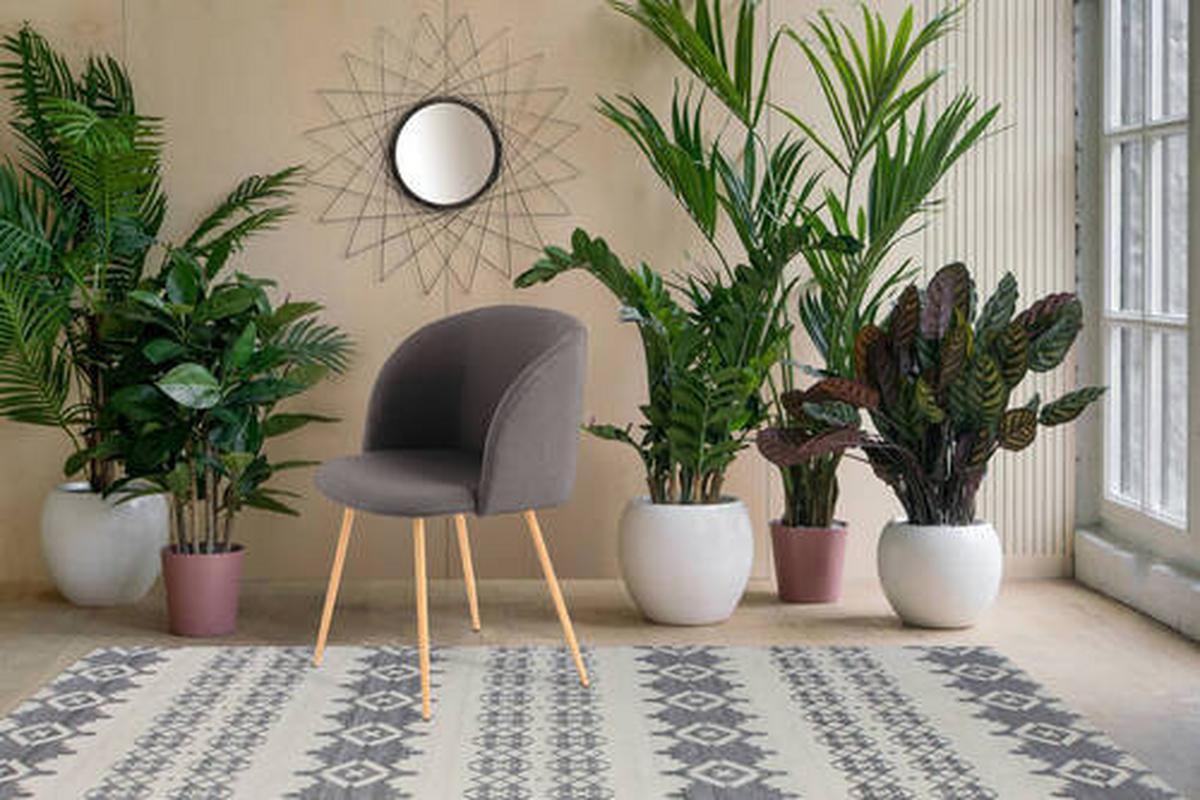 Szék Szett 3xa6h - fekete, Design, műanyag/fém (54/84/56cm) - Kayoom