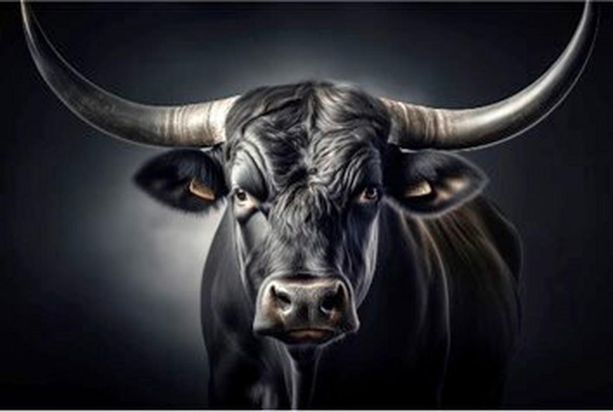 OBRAZ ALUMINIOWY MB-TIO1012 - różnokolorowy, Basics, metal (120/80/2cm) - Euroart