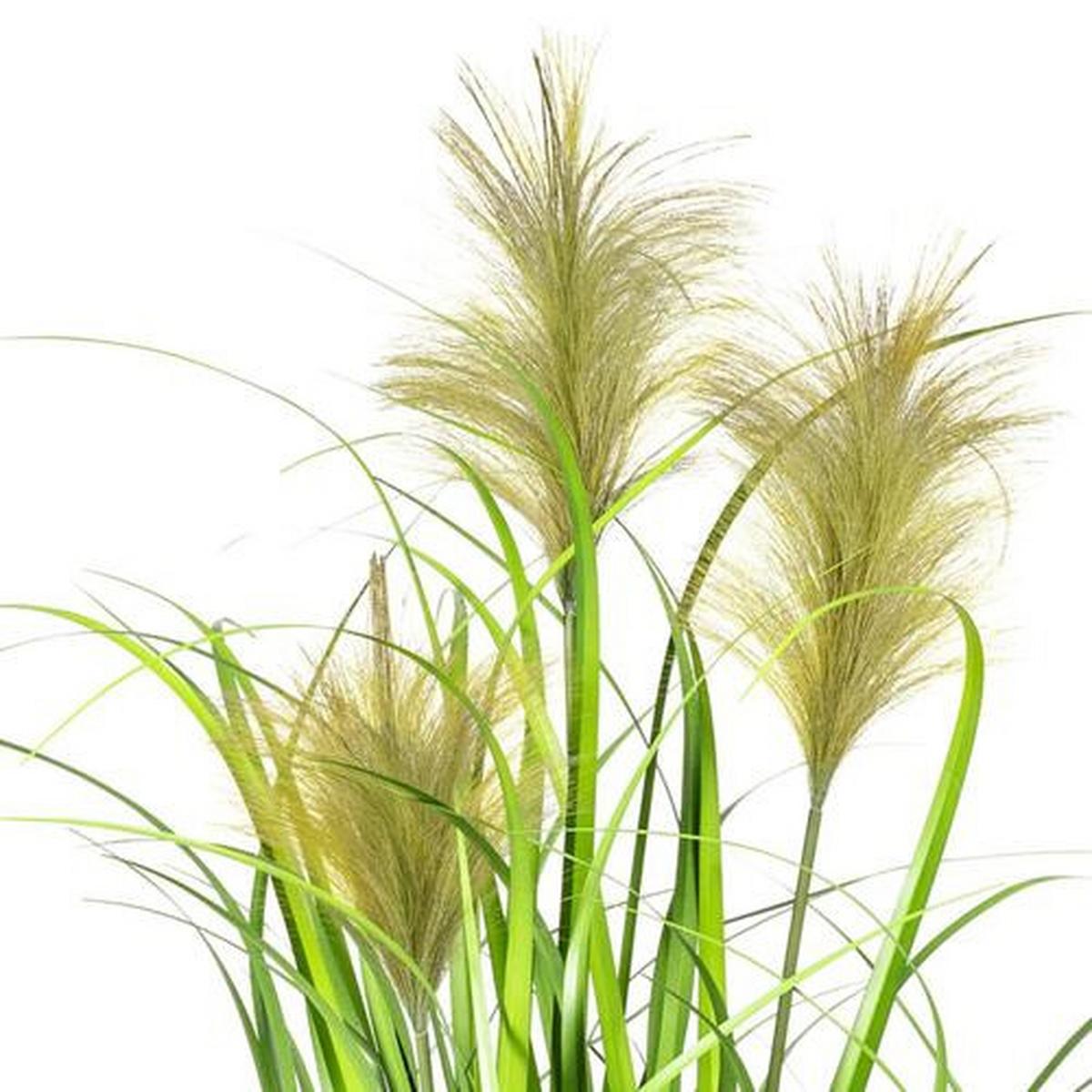 Schilfgras Grün Kunststoff H: ca. 9,5cm - Schwarz/Grün, Basics, Kunststoff (60cm) - P & B