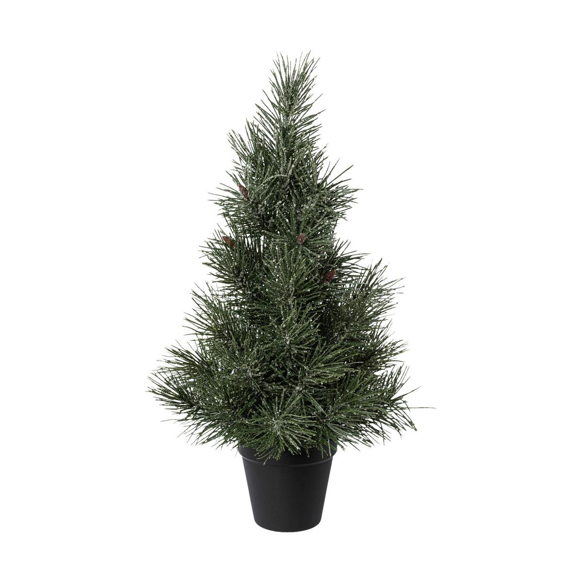 Műfenyő Kaspóban Kiefer - barna/fekete, Natur, műanyag (50cm)