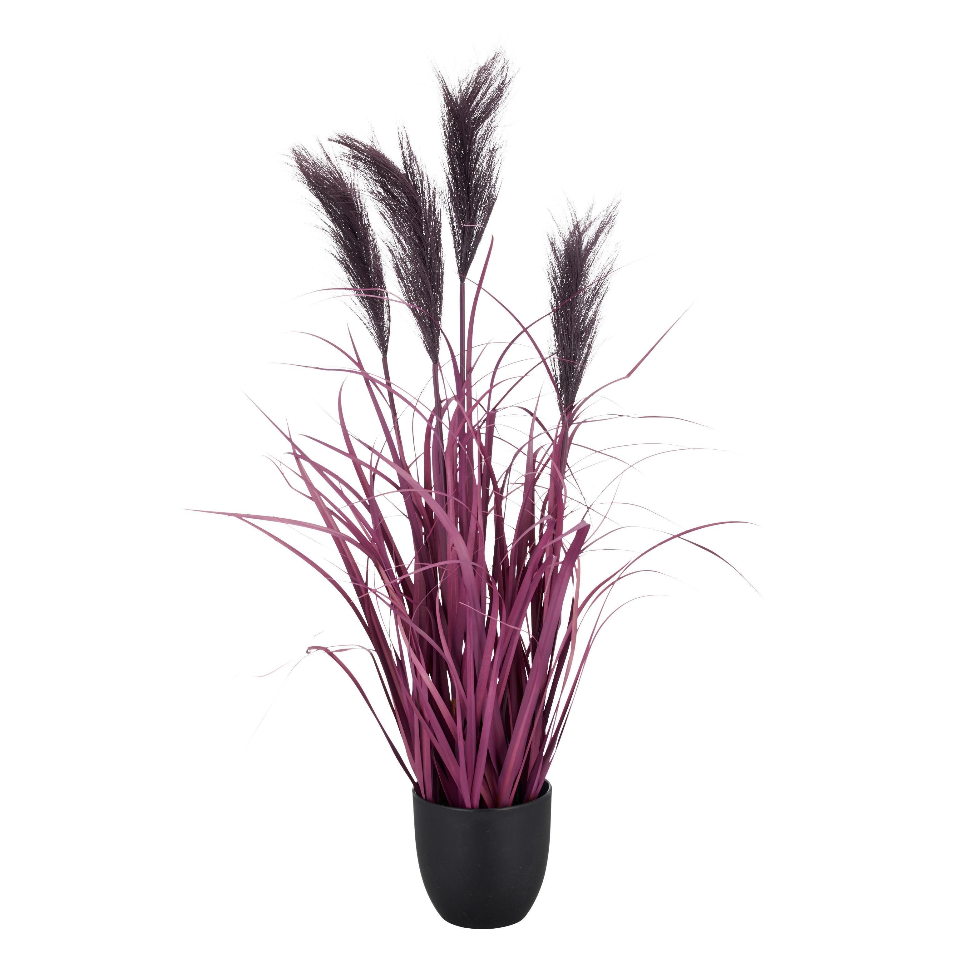 Kunstpflanze Pampasgras I Lila/Schwarz - Lila/Schwarz, Basics, Kunststoff (13,5/80cm) - Mömax