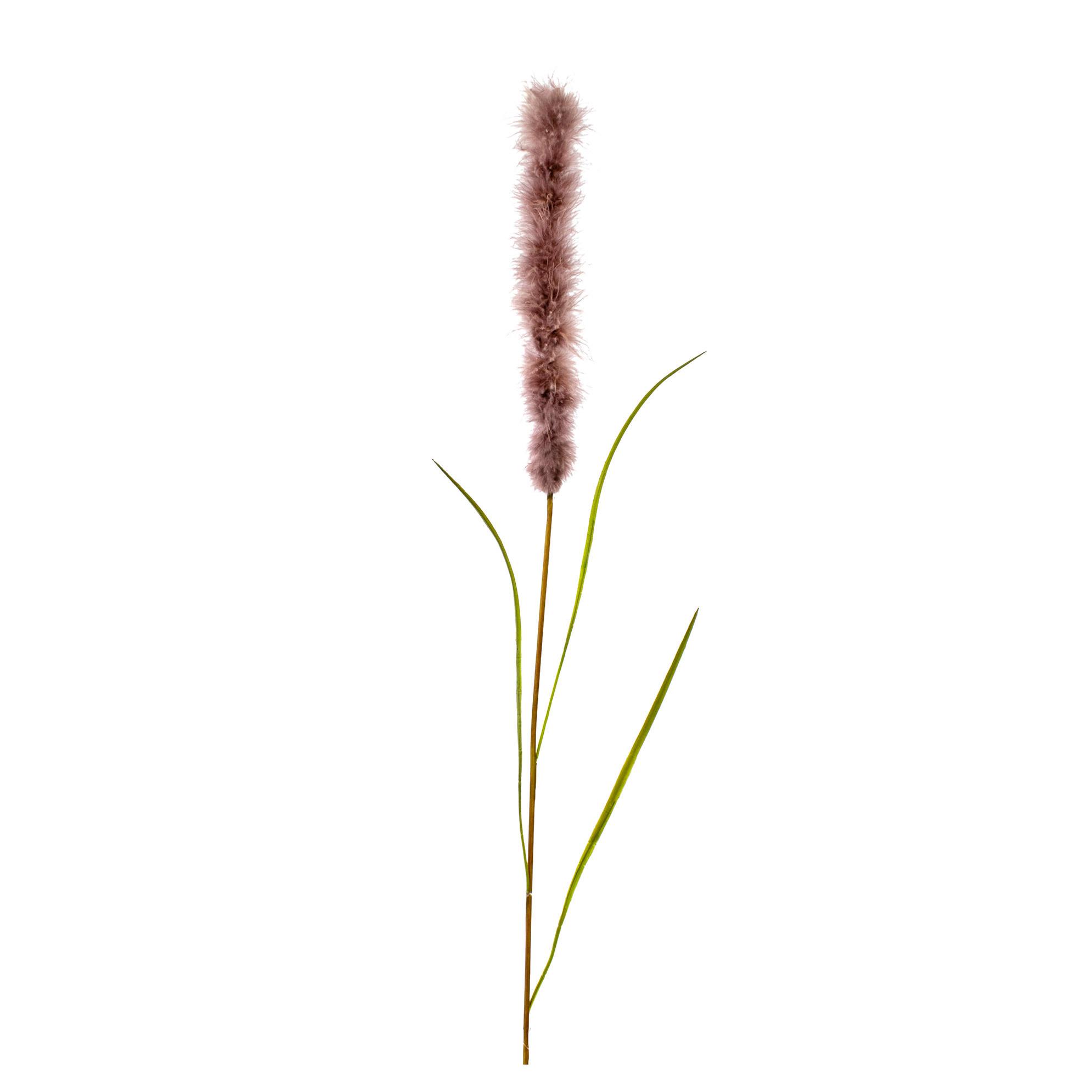Kunstpflanze Pampasgras I - Violett/Braun, Natur, Kunststoff (102cm)