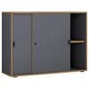Arhivska Omara Salia B100, Antracit, Barva Hrasta - medeni hrast/antracit, Design, leseni material (100/74/37cm) - MID.YOU