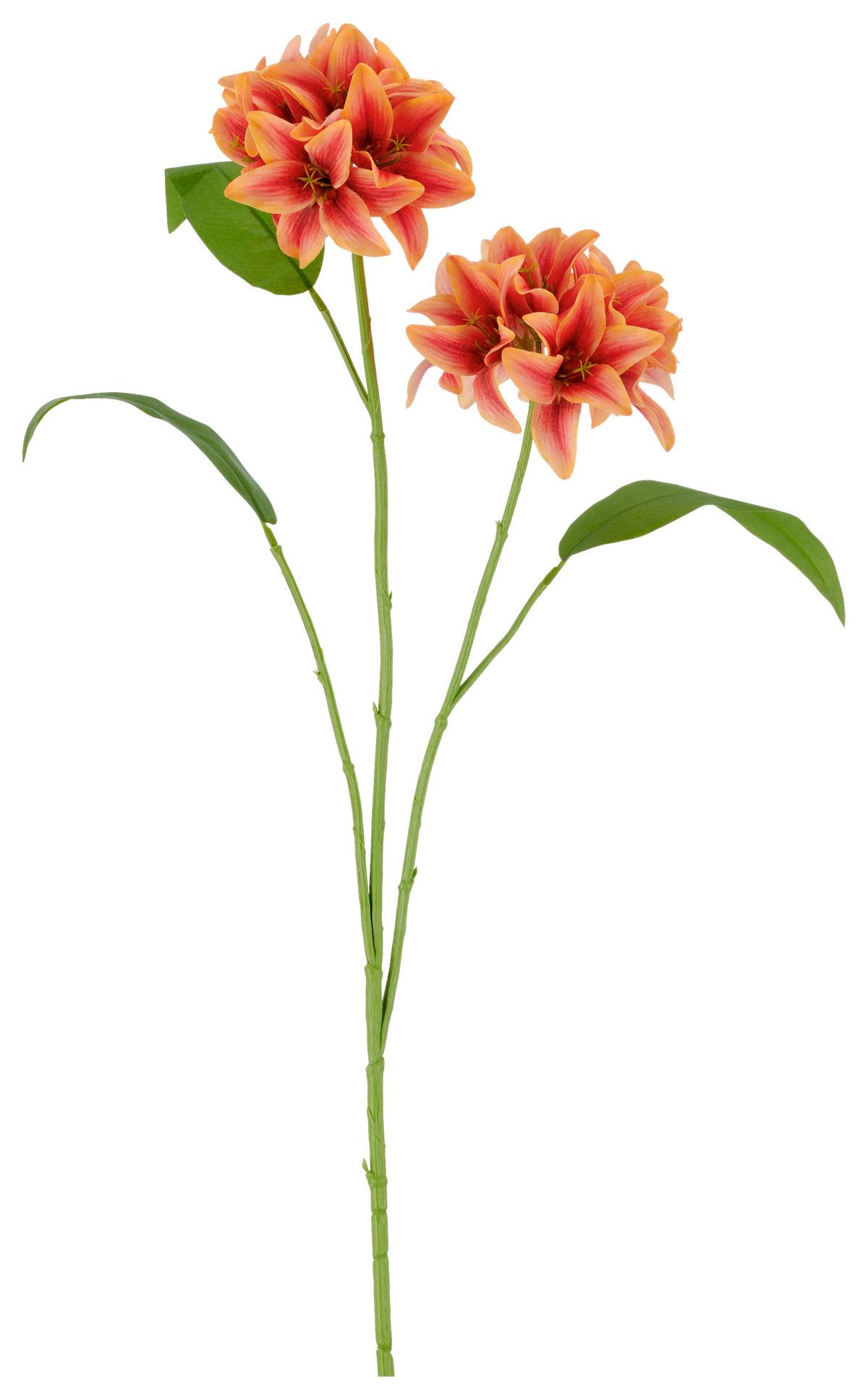 Lilie I Grün/Orange ca. 78cm - Orange/Grün, Basics, Kunststoff/Textil (78cm) - Mömax