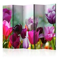 Paravan Beautiful Tulips I, 5-Delni, Dvostranski - pink/zelena, Basics, tekstil/les (225/172/3cm) - artgeist