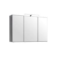 Spiegelschrank Florida in Graphitfarben mit LED - MODERN, Glas/Holzwerkstoff (100/64/20cm) - Premium Living