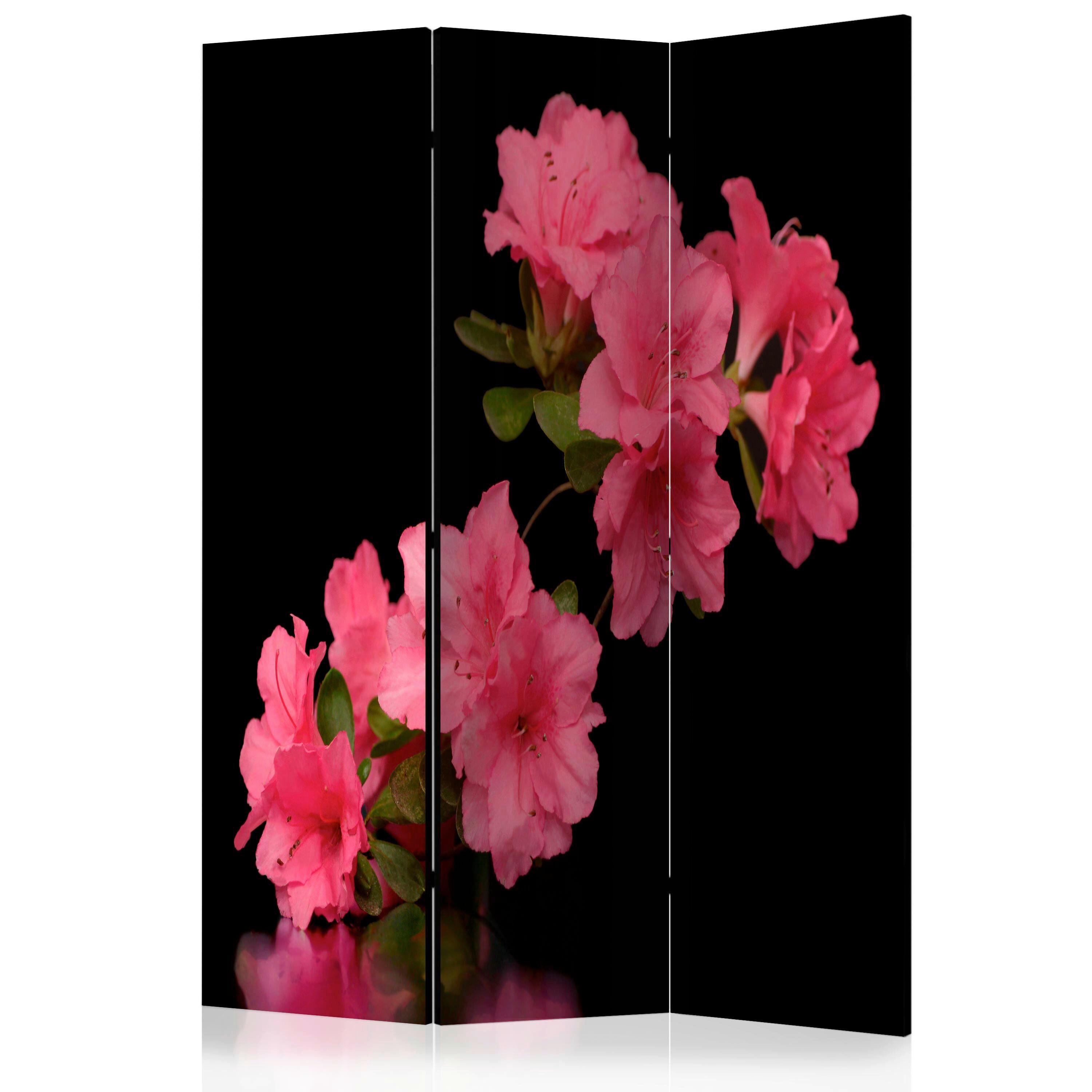Paravan Azalea In Black, 3-Delni, Dvostranski - pink/črna, Basics, tekstil/les (135/172/3cm) - artgeist