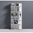 Regal Basic - Weiß, MODERN (60/138/22,5cm) - MÖMAX modern living