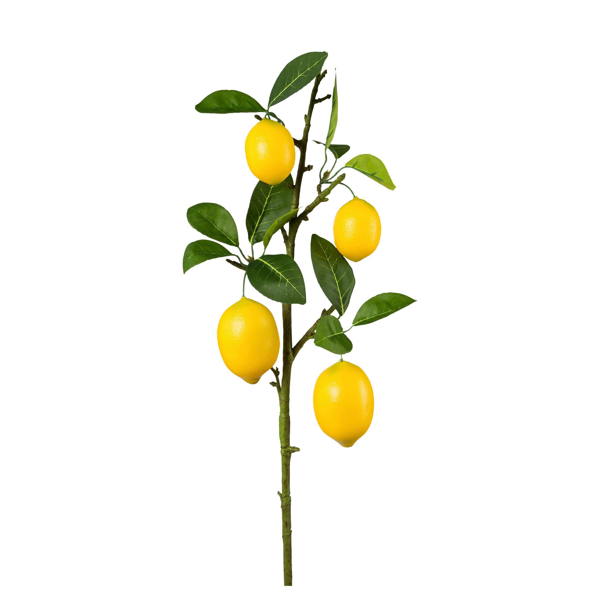 Dekor Gally Citrus - sárga/barna, Konventionell, műanyag (68cm) - Mömax