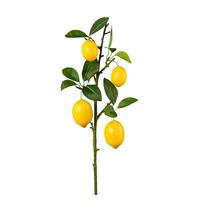 Dekor Gally Citrus - sárga/barna, Konventionell, műanyag (68cm) - Mömax