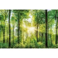 Tablou Desteny cca. 150x100 cm - verde pădure, Basics, lemn (150 cm/100 cm/3 cmcm) - Mömax