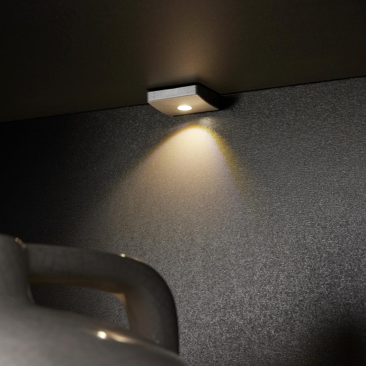 Vitrine "Claudio" dunkelgrau/eiche - Dunkelgrau/Graphitfarben, Modern, Glas/Holz (71/203/44cm) - Bessagi Home