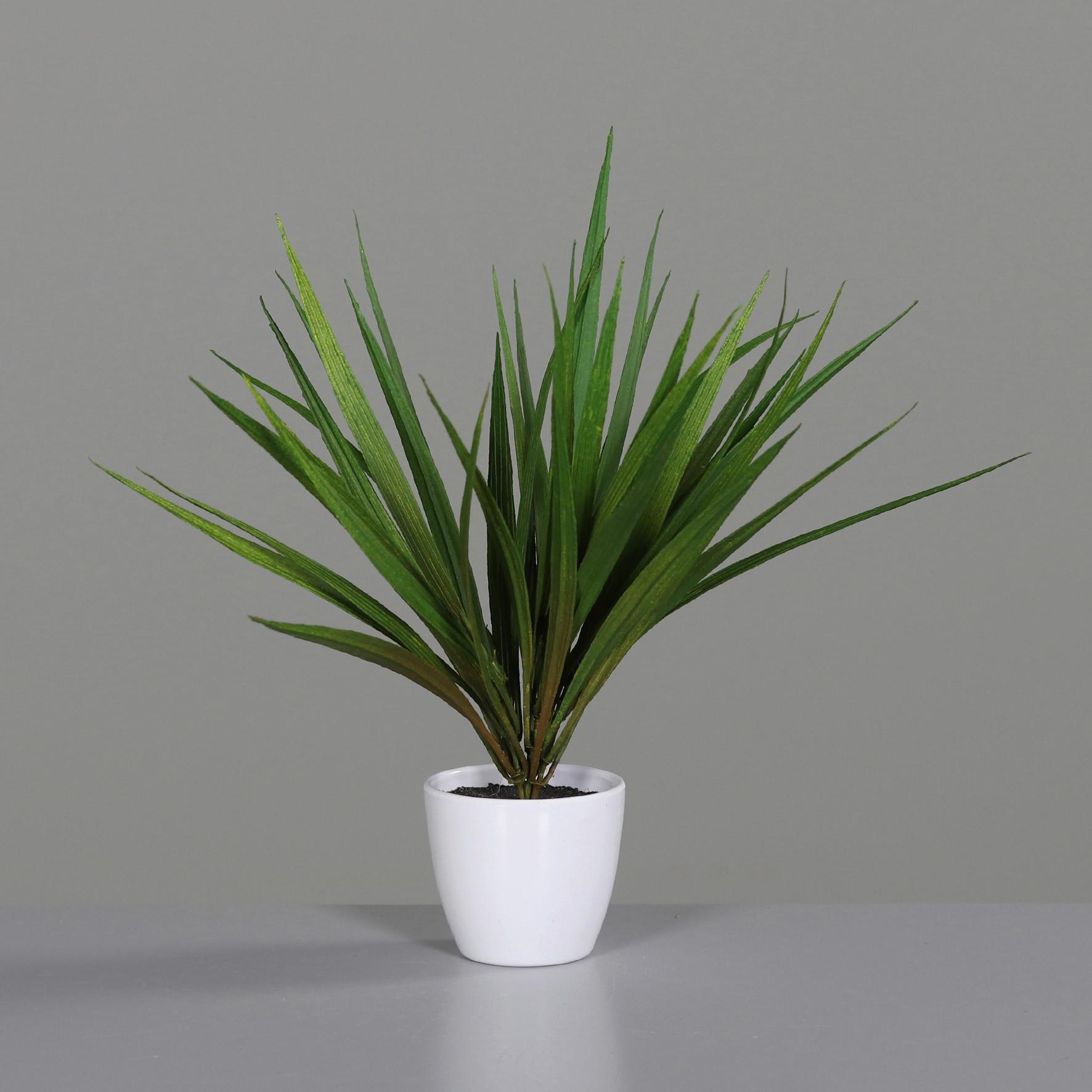 SZTUCZNA ROŚLINA 57694-01 - zielony/biały, Basics, tworzywo sztuczne (31cm)