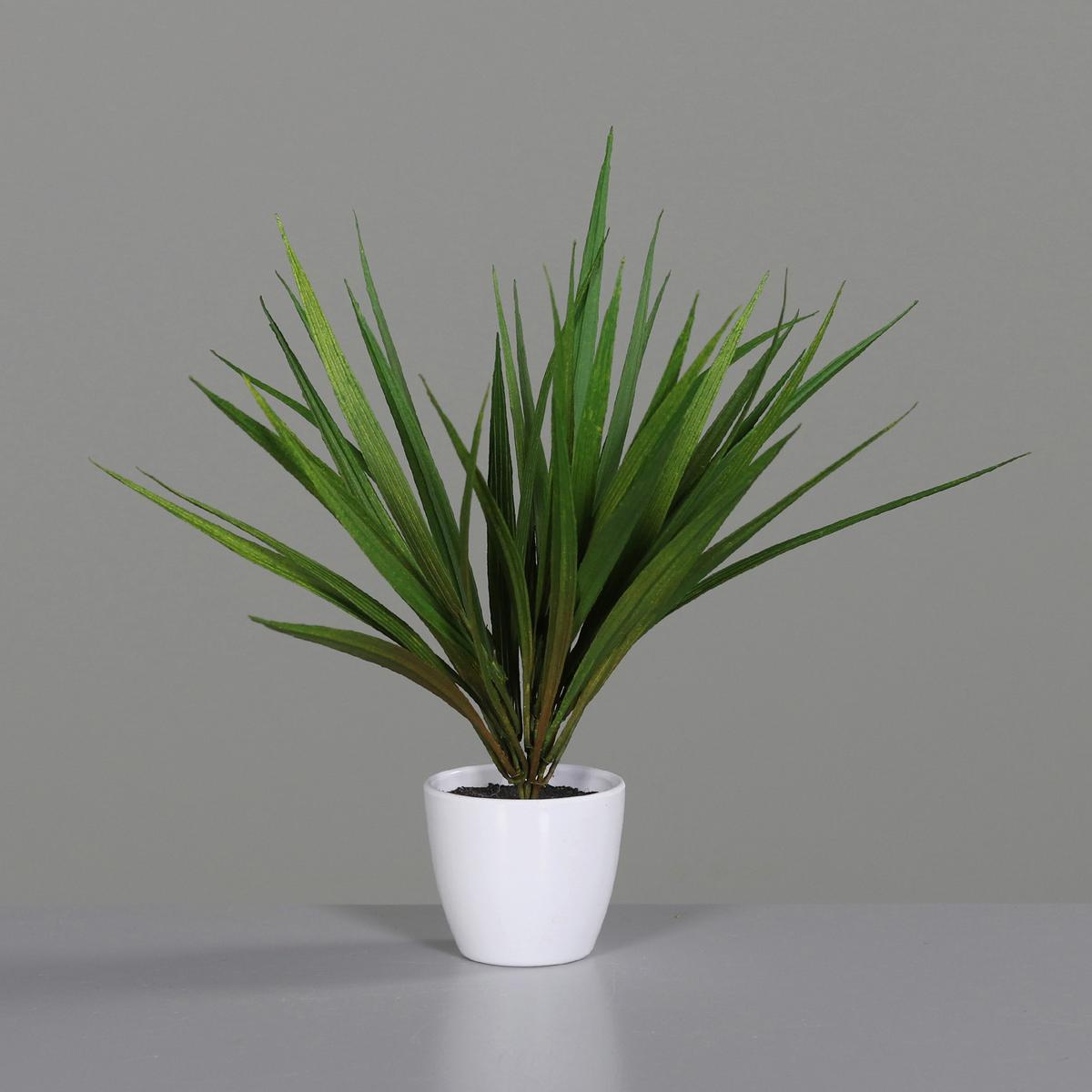 SZTUCZNA ROŚLINA 57694-01 - zielony/biały, Basics, tworzywo sztuczne (31cm)