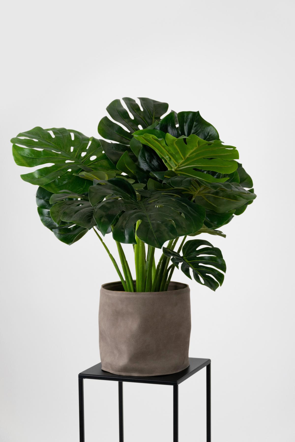 Blumenständer Schwarz - Schwarz, Basics, Metall (25/47/25cm)